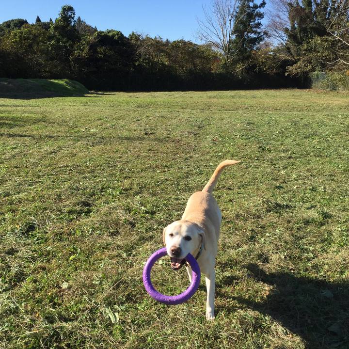 Da739b08 efcb 4e22 9138 c774f5cbc0bc 1510484020531