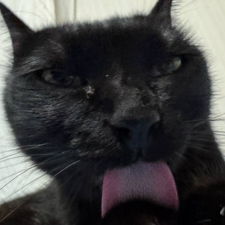 Da73a980 cd4a 4f14 b436 52cf1382f511 1758715522434