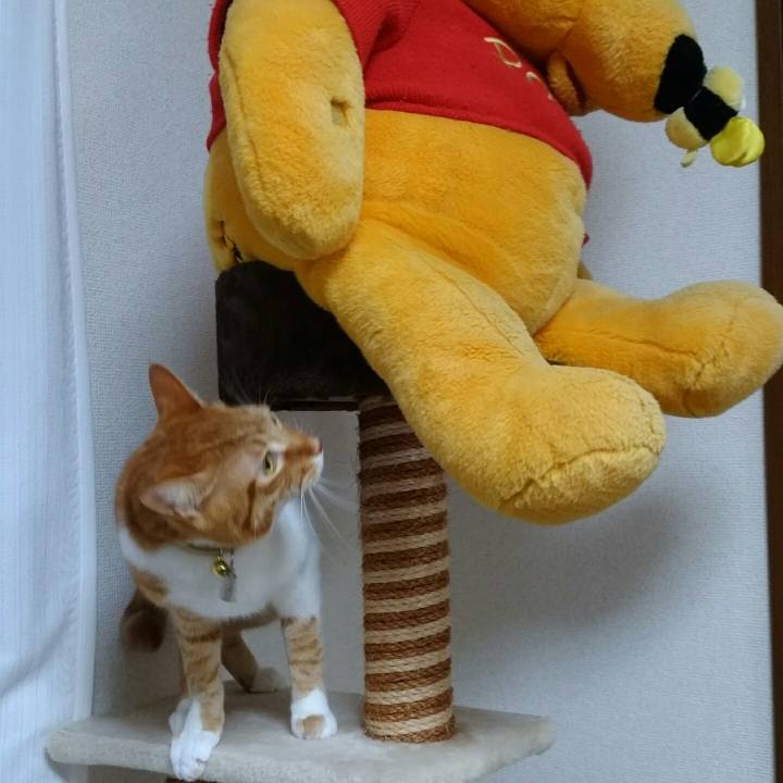 Da73b6ad c09f 4c84 8d0a 96b3d144a4dc 1562219896542