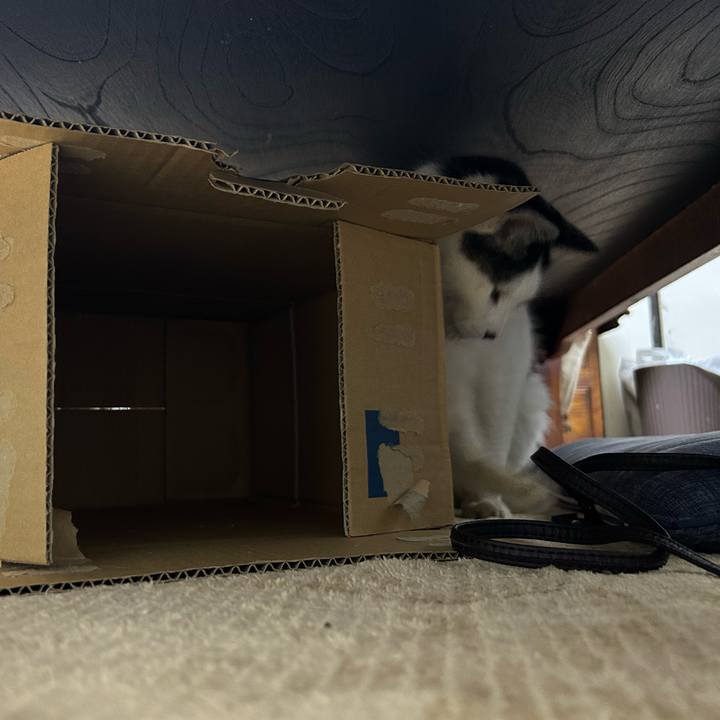 Da7400f2 5177 49c8 a8e6 5d433d6fc7a4 1736426525164