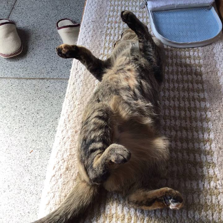 Da7486f1 55a4 4df8 9da3 47bf664f054d 1583036175180