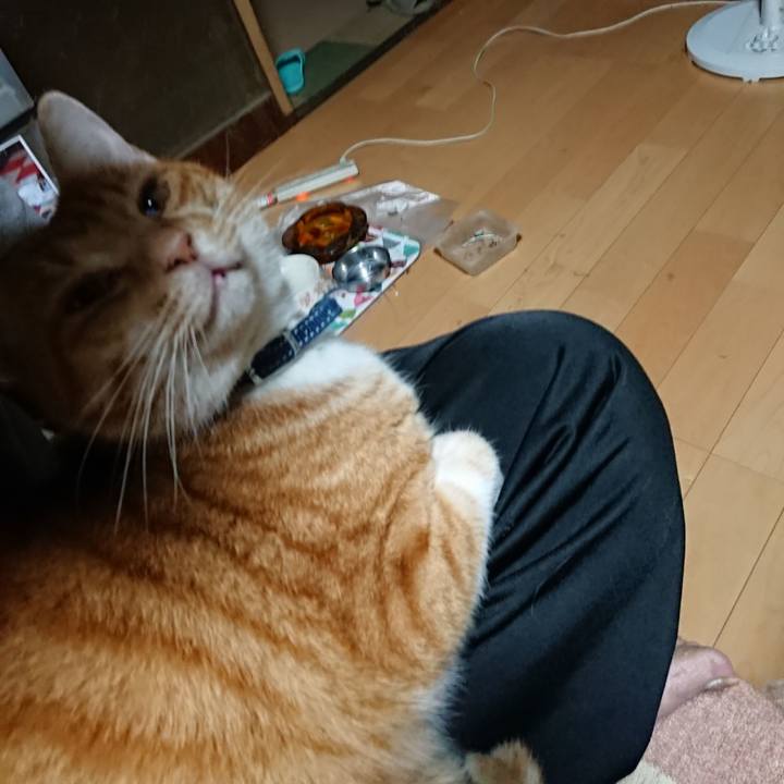 Da74a954 2f94 46aa 87f5 cfb3e142dbd5 1601409163038