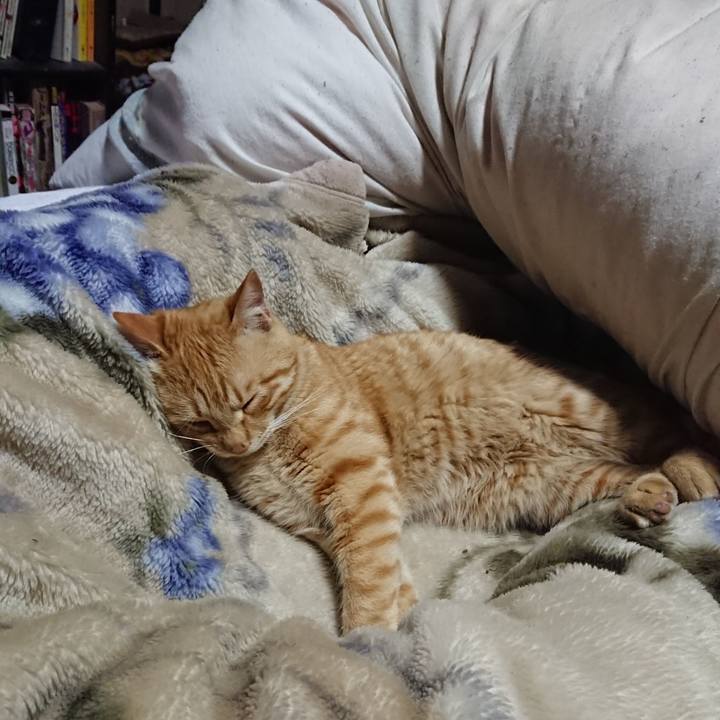 Da74d54d 78fc 485a 9260 b3b674a49986 1650978937755