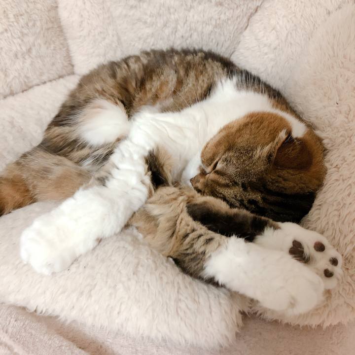 Da74e7df 9530 4e11 b20d aa5550f30286 1577827614797