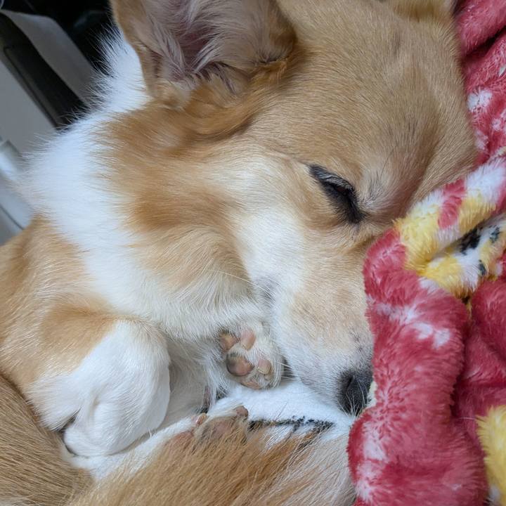 Da750a6f 8620 4fc9 a192 363bfff33510 1762779708440