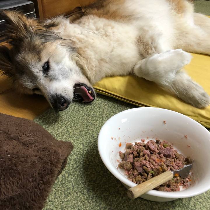 Da751617 106c 4bcb beeb 766f601a9f53 1556069283788