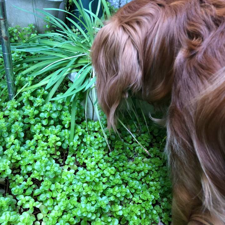 Da7563e4 b51f 4284 b87e 2c8b36c71e82 1525049647504