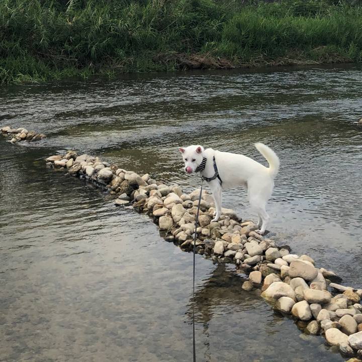 Da75a5e0 c61e 4359 89fc b18d3139670d 1598012385551