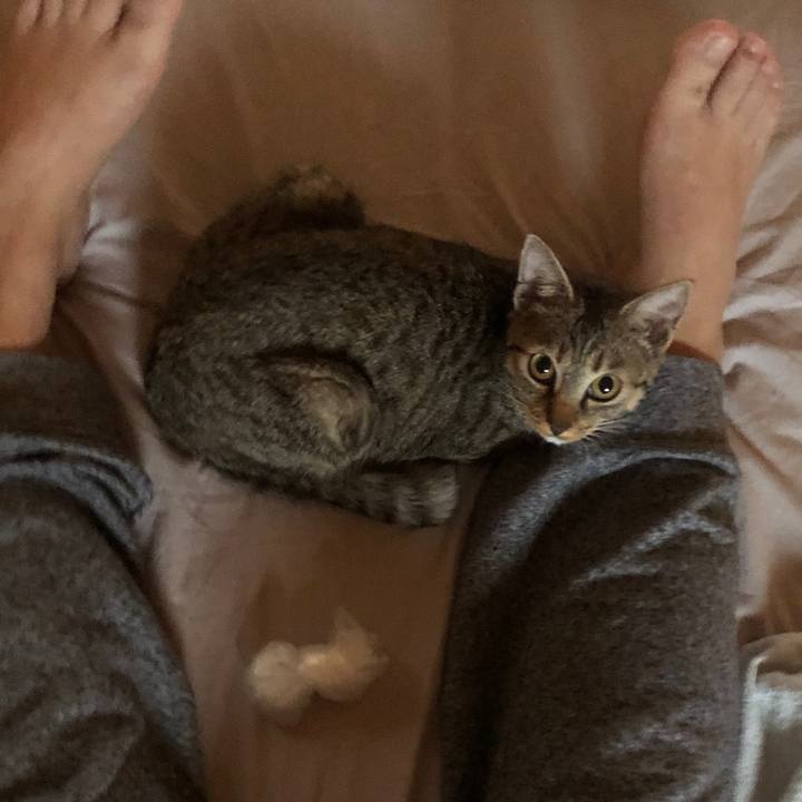 Da75ad9d 208a 4a72 8336 28dd7f53bfe5 1560634217323