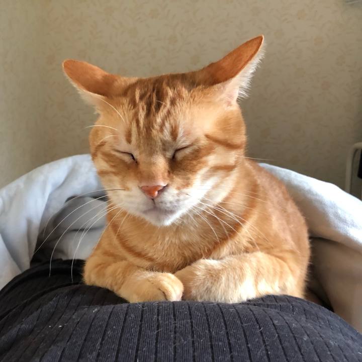 Da75d860 785d 431f 8444 0563efacc6ae 1569627240429