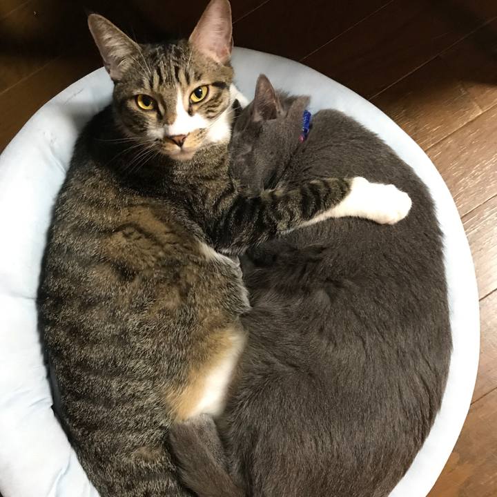 Da762a70 1358 43f0 bc9e 117d21268aa8 1508494688774