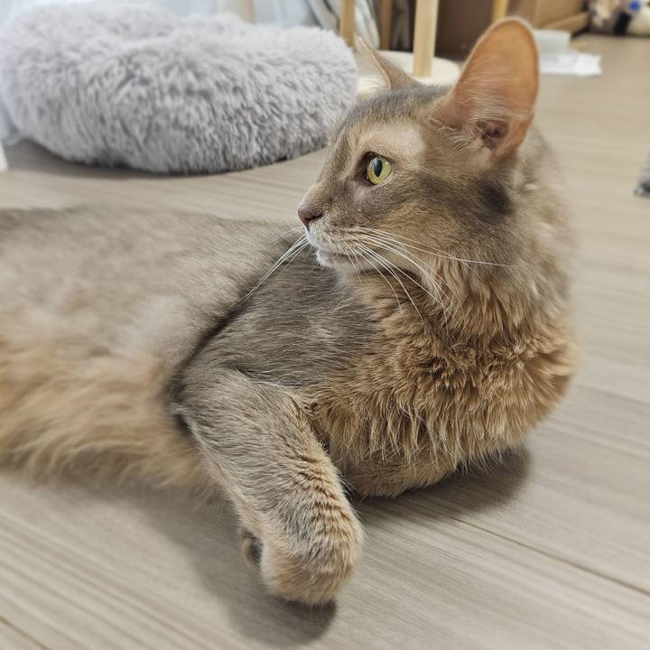 Da763911 c5f8 4db6 9ea6 aa0a316ae638 1773396910920