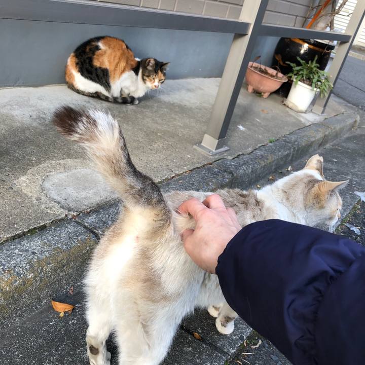 Da764db9 5035 4dbb b8c4 244ecd0af637 1516973510054