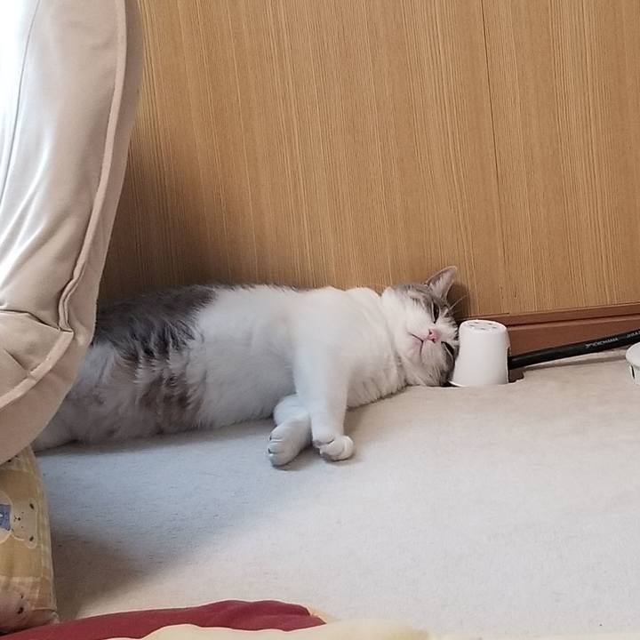 Da765056 bdbe 4f7f 93cd 1b7a36339c2f 1619793236977