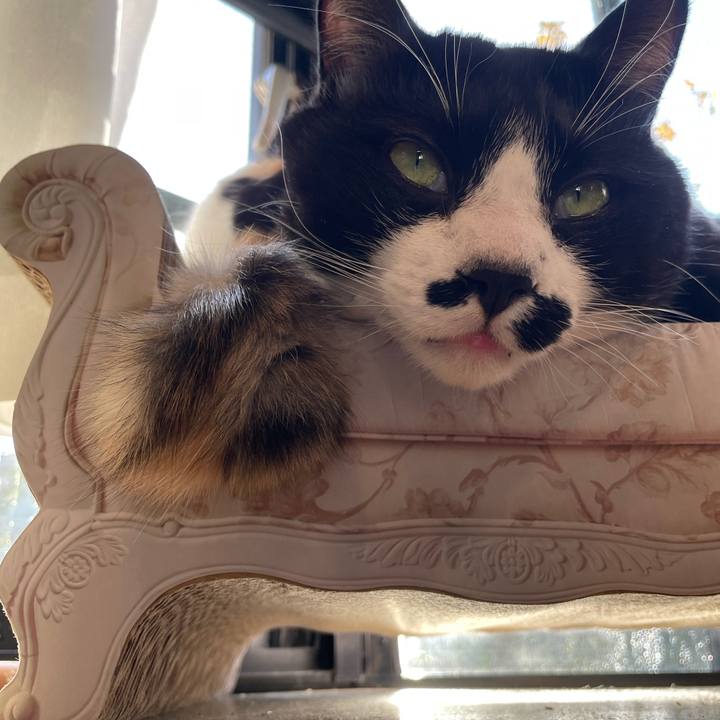 Da7689a9 75ad 4979 a7ed fb71ed3cc01b 1672961216787