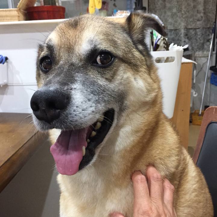 Da76a566 2d6e 469c a4ef 79b39dda1b31 1537539744907