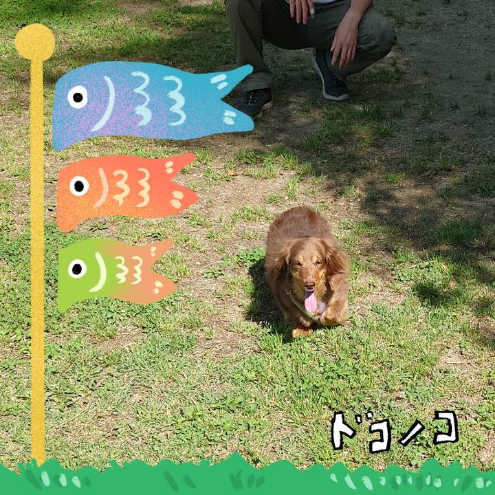 Da76a880 e8f0 4ed7 b967 36688139d0f2 1714989868807