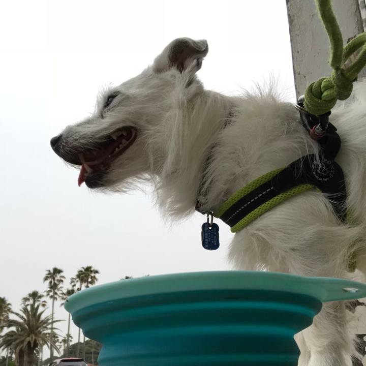 Da76aa59 9282 4732 928c c3beef24a347 1527297712904