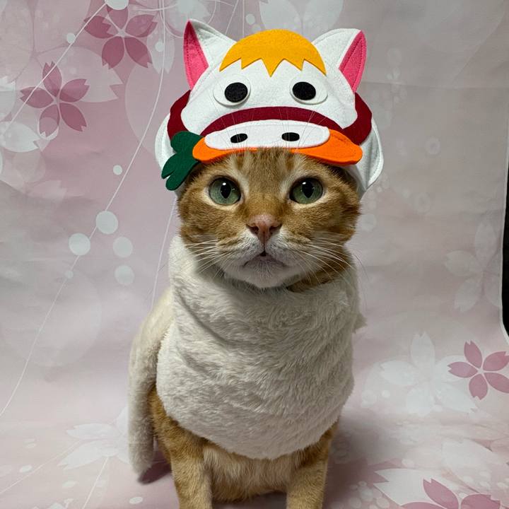 Da76b33c c011 4e37 9e93 0b74b5e26afc 1767233937306