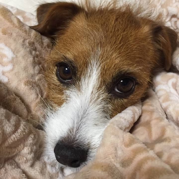 Da76d2f5 bdfc 42f7 9f05 4094ca48df5e 1510480122942