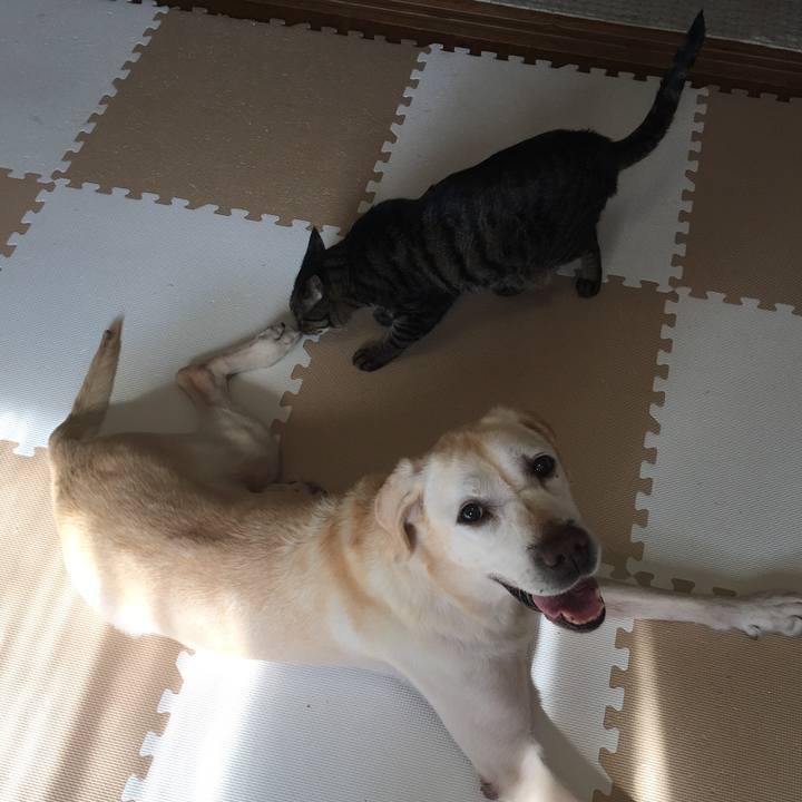 Da76dc99 b186 4076 9896 265eb98215c8 1547381194984