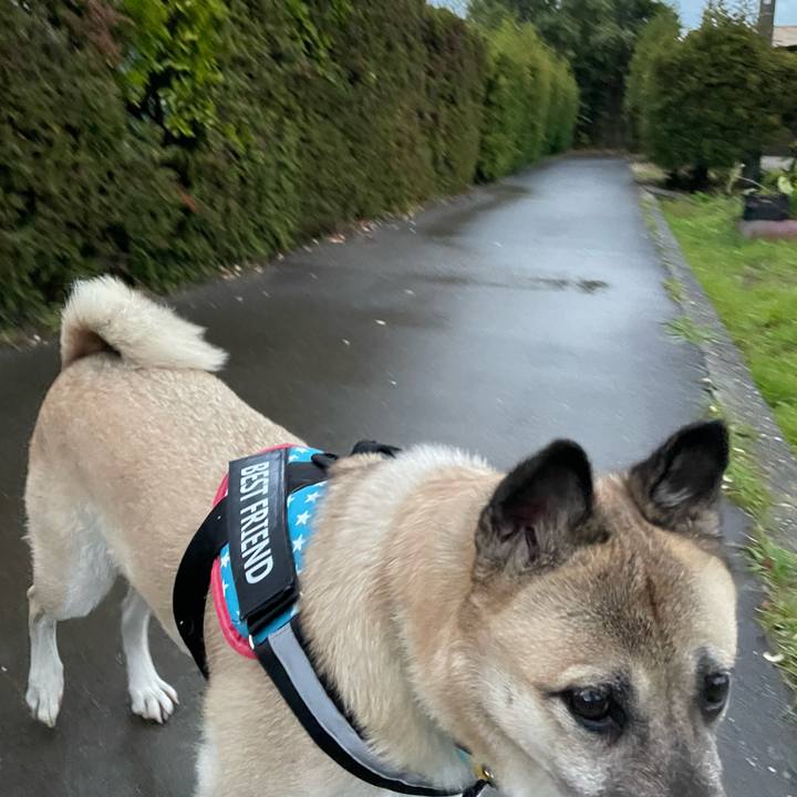 Da76f639 d83c 426e a90f f0db9bdb8235 1732799244081