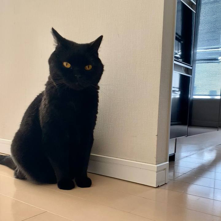 Da770310 e97d 4feb ba4a ed2515a5cfb0 1749283784790