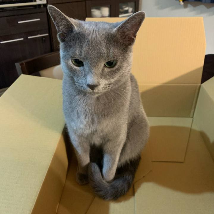 Da77061a 1397 4154 915f 4116c0c0693b 1578826746543