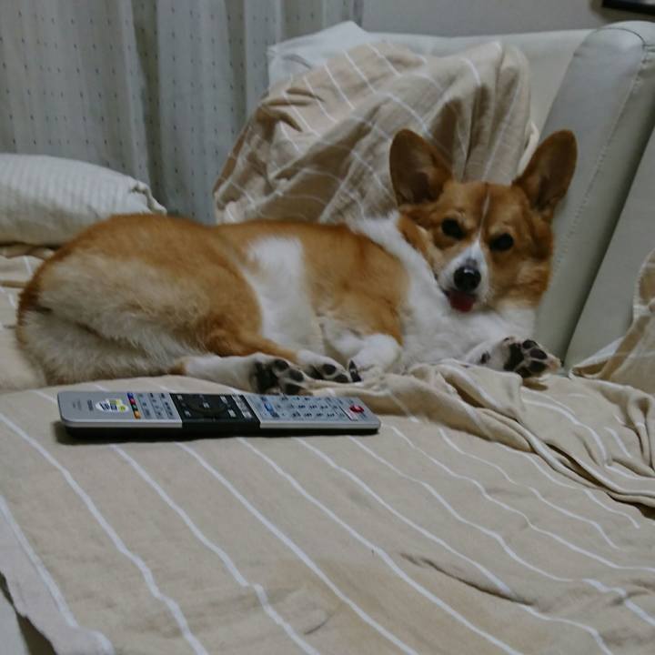 Da770957 5fc3 4b66 9413 60ae676e4c8b 1539558642970