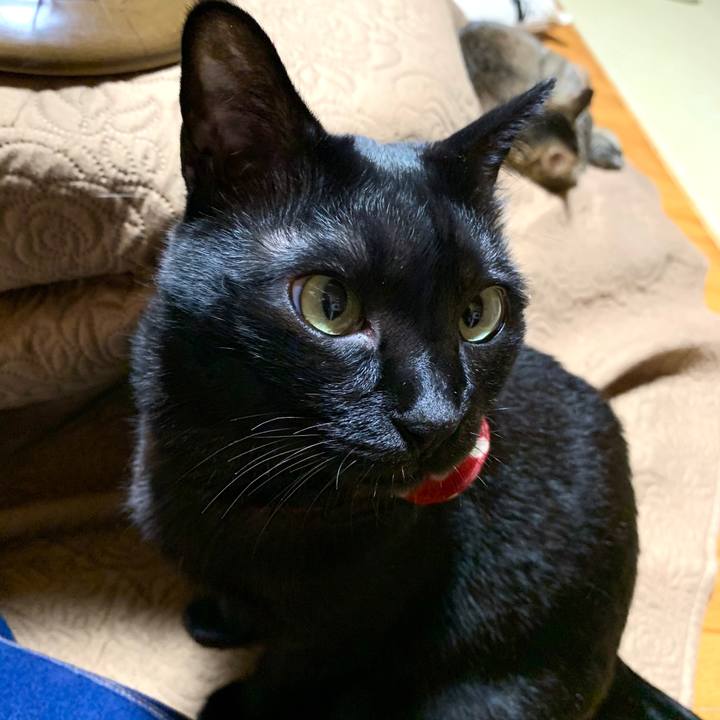 Da774942 e5a2 4b55 bd99 b150e812f10c 1583590768170