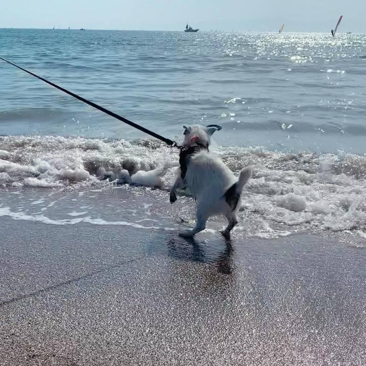 Da7756e8 b406 4df6 a4ad 4ba0a9fe7b93 1716019726646