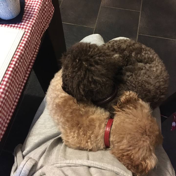 Da775e2e 7cbf 4d95 91a4 150e8456ba61 1581325063796