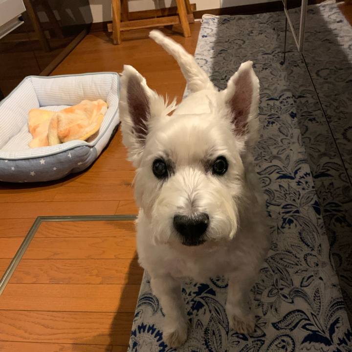 Da776b2d e9c0 4426 a496 56095d476376 1669731361173