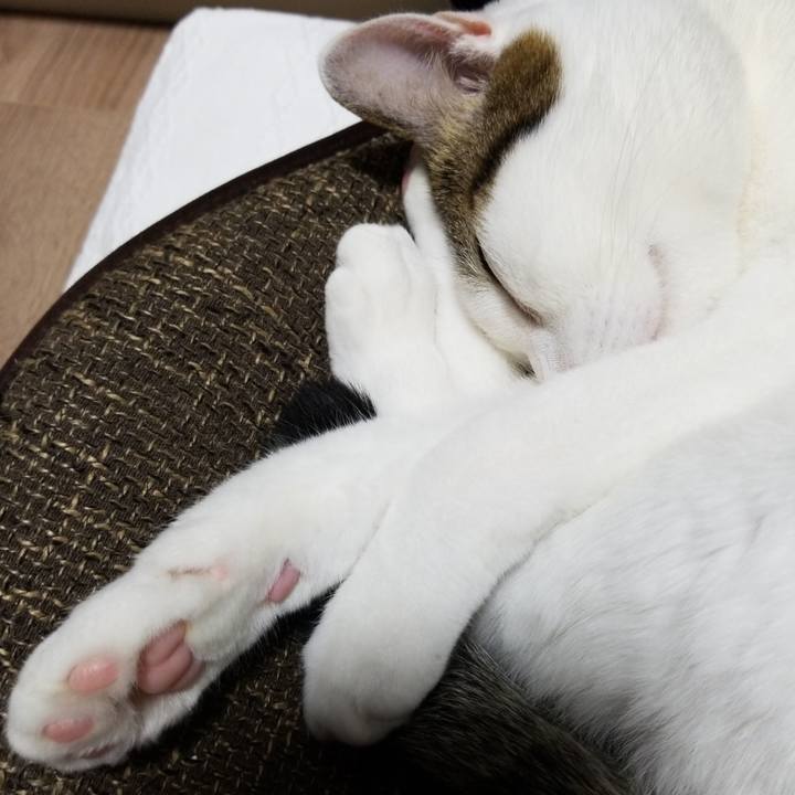 Da777ba7 ca46 4bd3 8c79 141788ef14b2 1581419975086