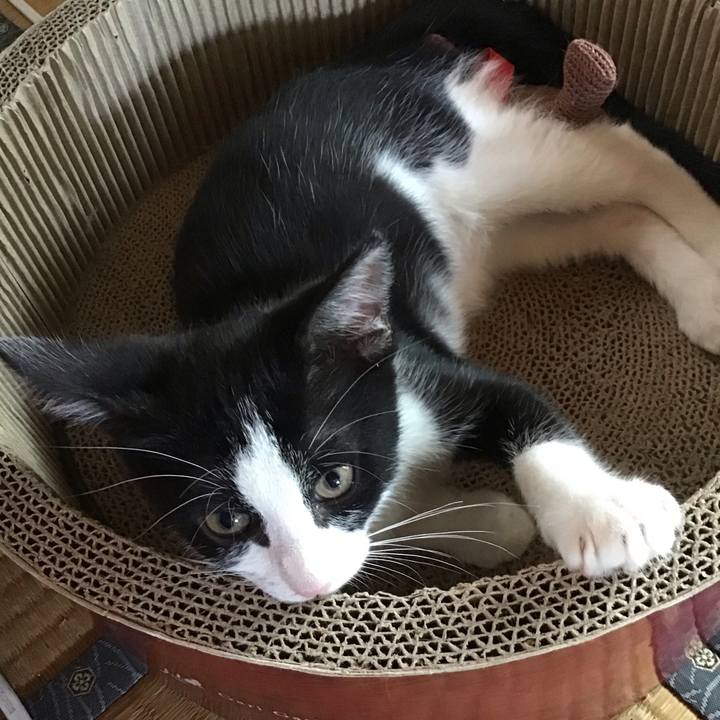 Da779696 5f1d 46b2 ae0d 711afb1876db 1625971701041