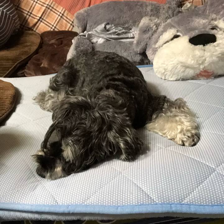 Da77b138 92c1 4205 9a2a 47bd376ae401 1659612378815