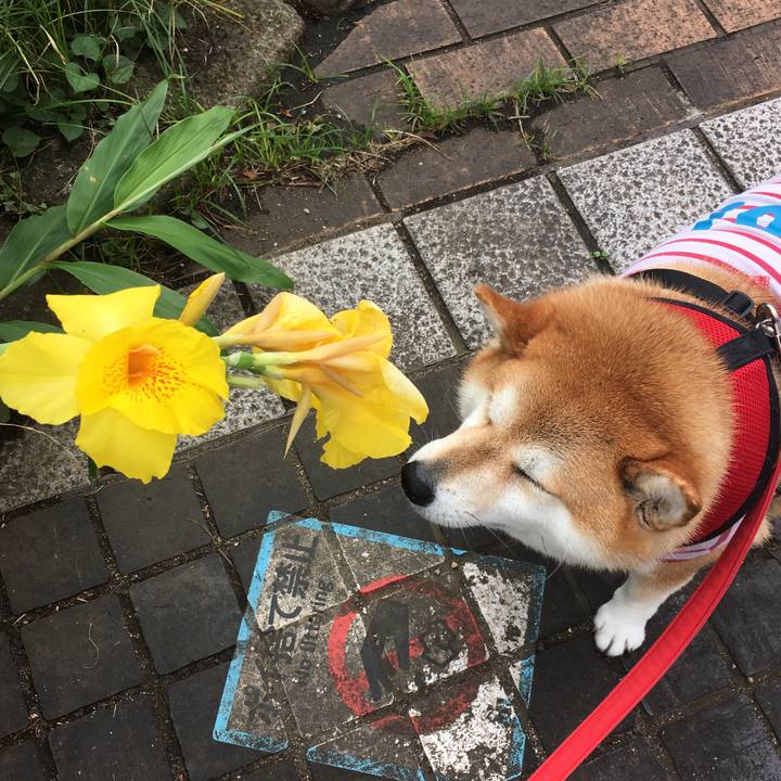 Da77b58c 028b 4fd4 a308 a5c58ed53bdf 1595560347223