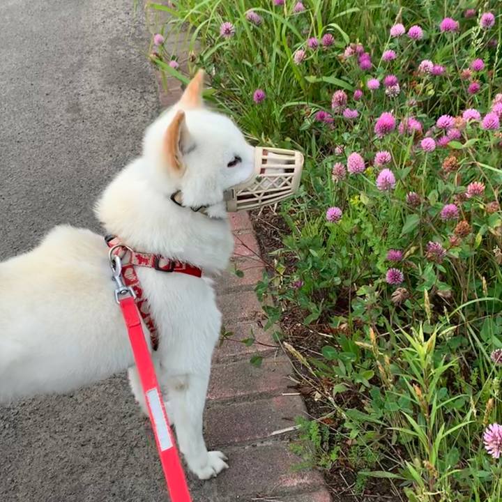 Da77d338 945d 4ed7 97bf eb6a5f81c4fc 1562795533347