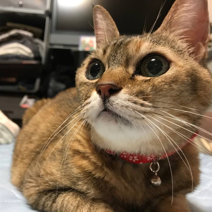 Da77d763 c660 465c b418 b2fb7c1a22a4 1507819592509