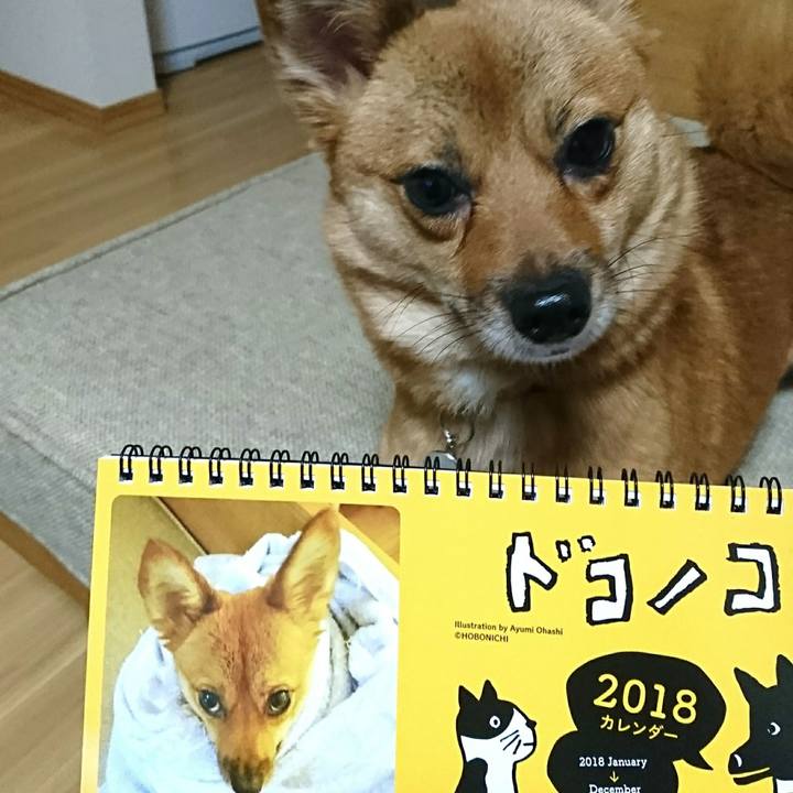 Da77f399 2b8c 458c acbe 5fba03aa6a66 1510918614287