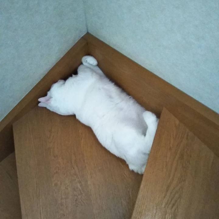 Da780de4 19ef 4cc6 aec2 7499574590ed 1559461601250