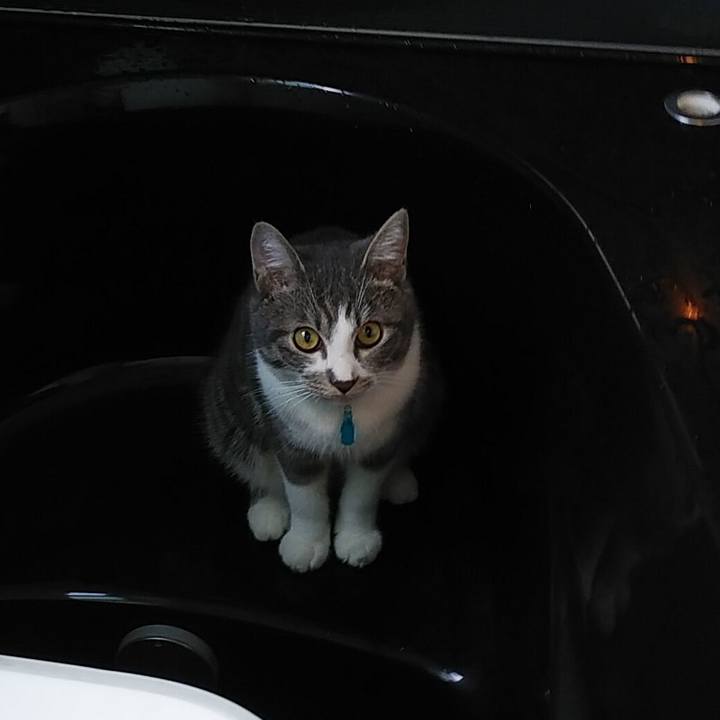 Da781177 85e7 4725 92b1 9146c8aadd10 1573688542025