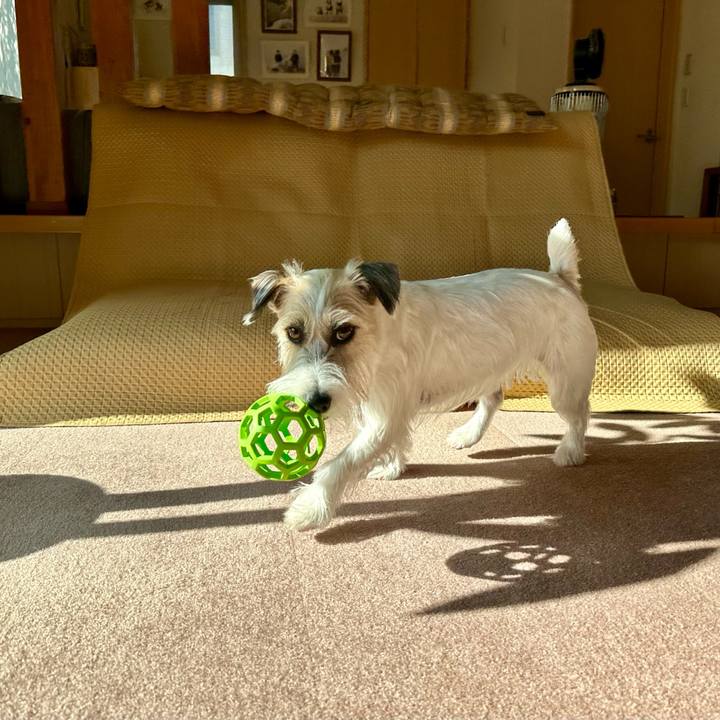 Da781336 d781 4c3a 976e 8189f5a73644 1704021919099