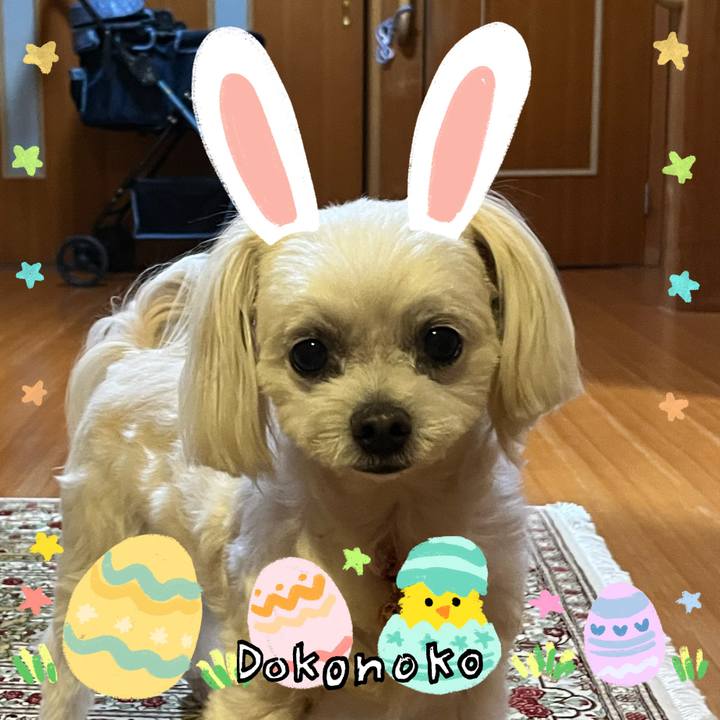 Da781a84 90f1 4ccf bebe 2d8fb357bdb5 1712284986993