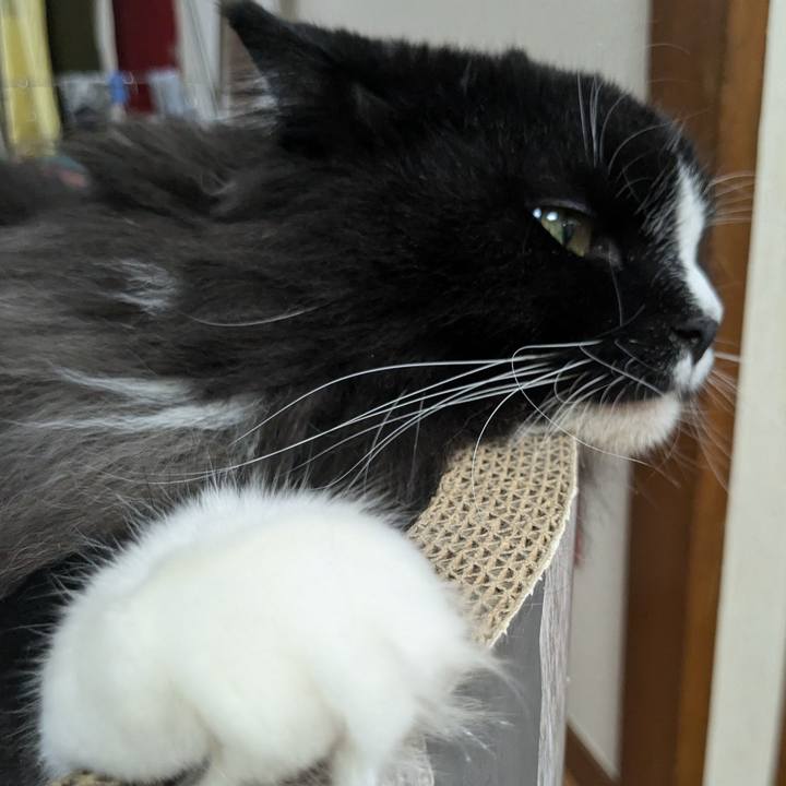 Da781b39 2889 4dca b8b0 91f4a1da9f2d 1726051360731