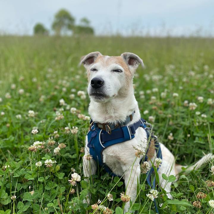 Da782f68 e3dd 4d87 8c0b bd92ee0b1a7b 1653120086052