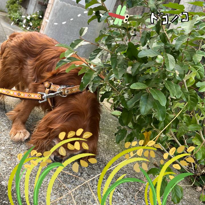 Da783ab6 5873 4a0d 87f9 1472d02d1e3c 1761269300415