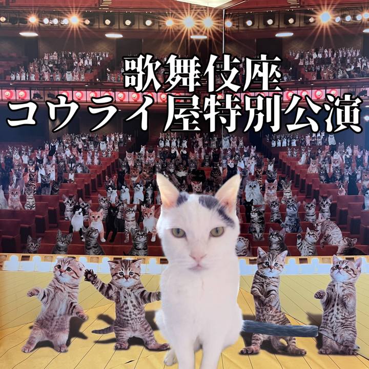 Da785a81 b949 4034 9d48 e62246ba80e7 1648346804681