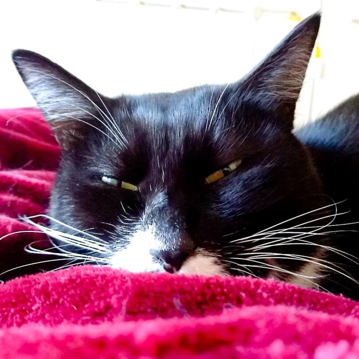 Da7866b9 8fb5 434b 8172 29dc978d44f2 1513111913838