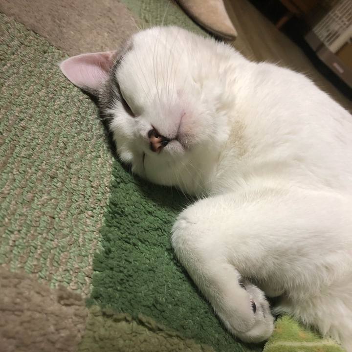 Da7874ff 26b6 4d91 8142 0e07ccb969ee 1607175110911